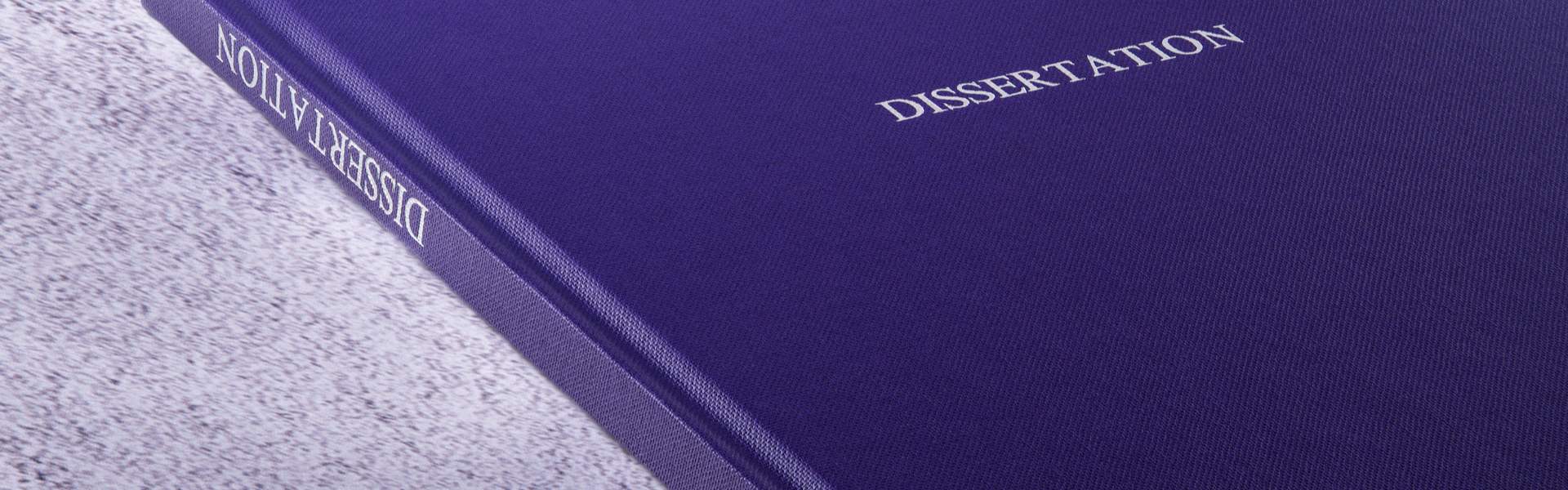 dissertation coaching services